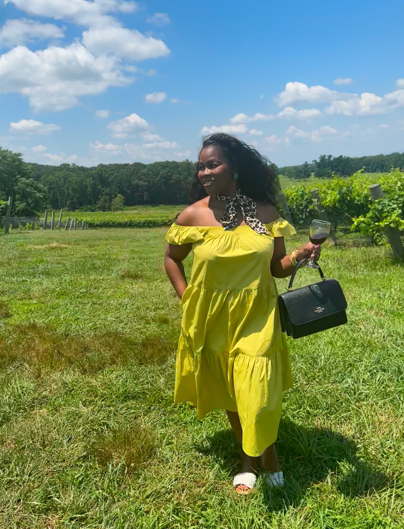 Chartreuse Poplin Dress | Small-3X