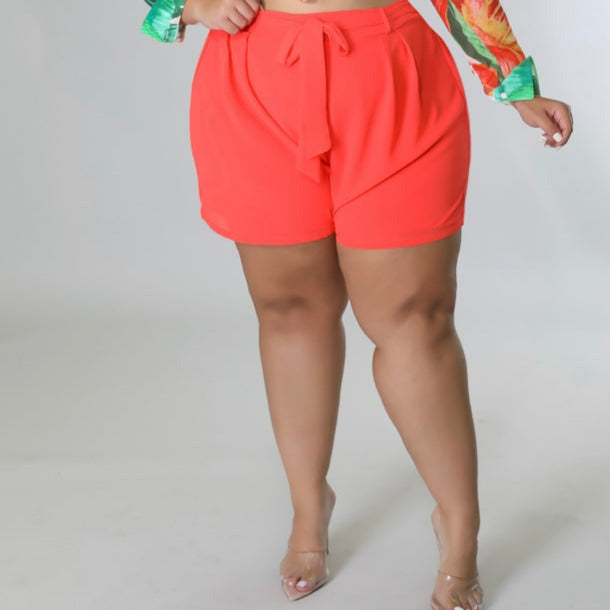 Eva Shorts | 1X-3X