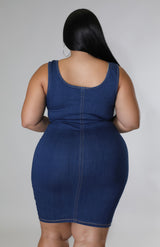 Lesa Denim Dress | 1X-3X